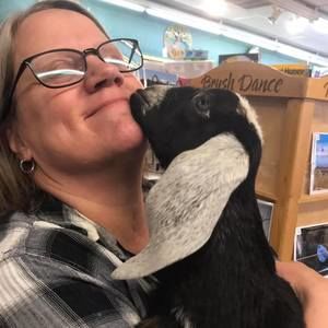 Meet your Posher, Cheryl